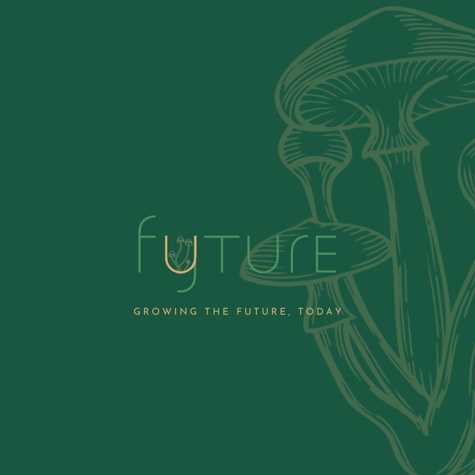 FYTURE